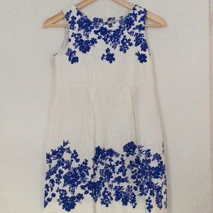 Zara Soft Collection Blue and White Dress